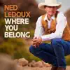 Ned LeDoux - Where You Belong - Single